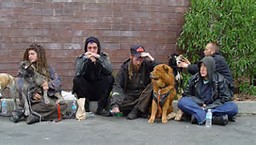 homeless youth count